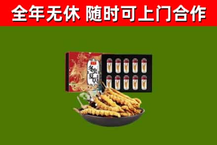轮台回收冬虫夏草价格